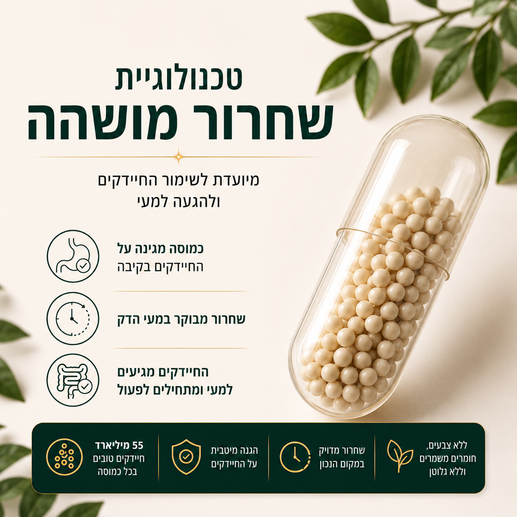 פרוביוטיקה + פרה-ביוטיקה™ – תמיכה באיזון מערכת העיכול